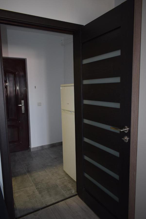 Apartament Palatul De Justitie Rhbm บายามาเร ภายนอก รูปภาพ